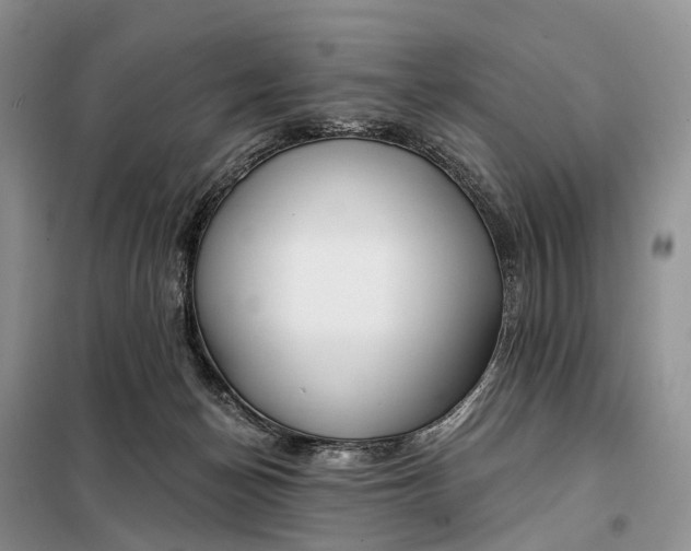 X0000097990174200804071201