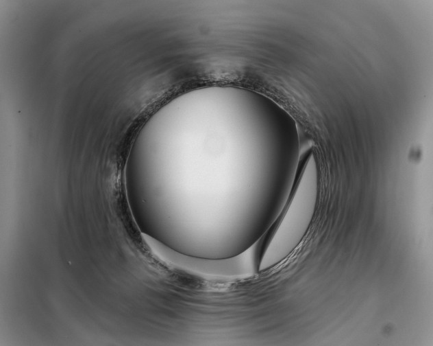 X0000097990176200804071201