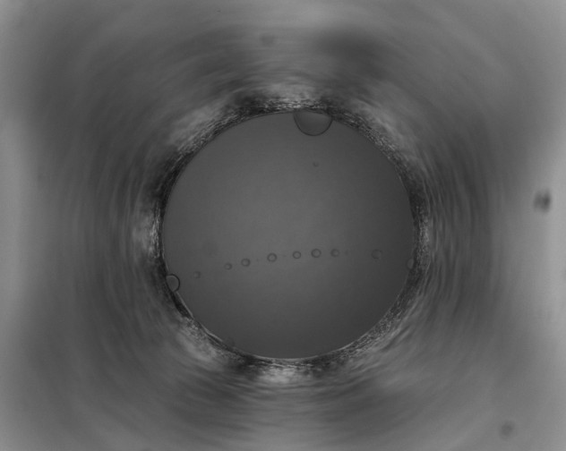 X0000097990177200804071201