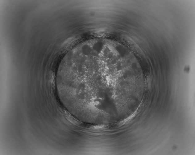 X0000097990178200804071201