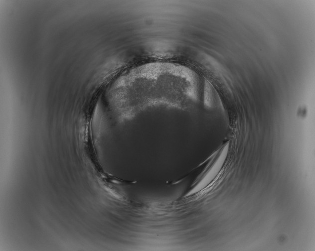 X0000097990180200804071201