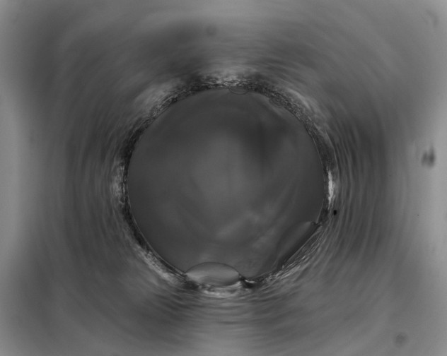 X0000097990181200804071201