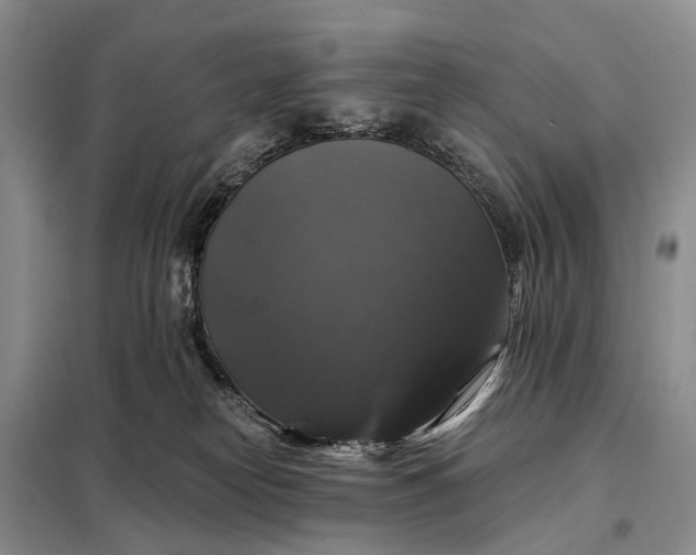 X0000097990182200804071201
