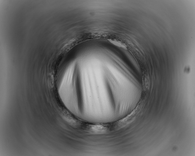X0000097990183200804071201