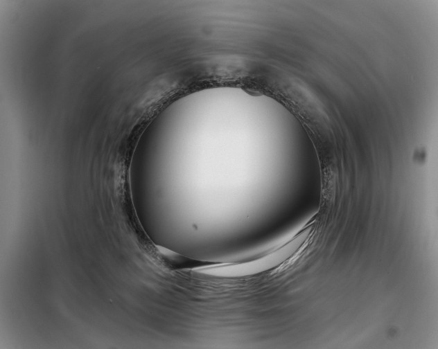 X0000097990184200804071201