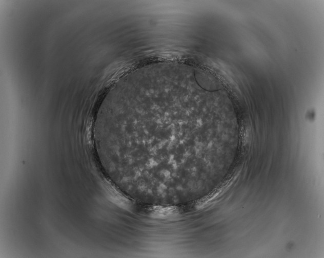 X0000097990185200804071201