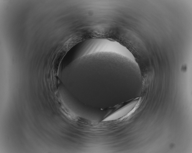 X0000097990186200804071202