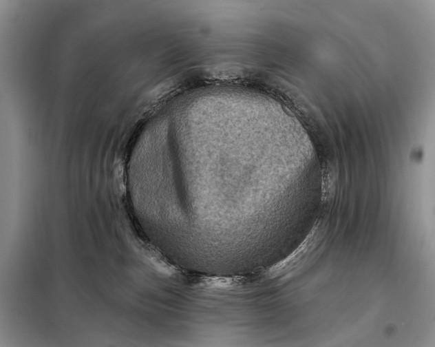 X0000097990187200804071202