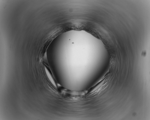 X0000097990188200804071202