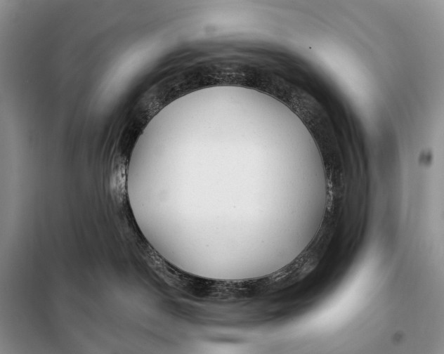 X0000097990190200804071202