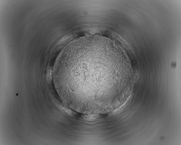 X0000097990191200804071202