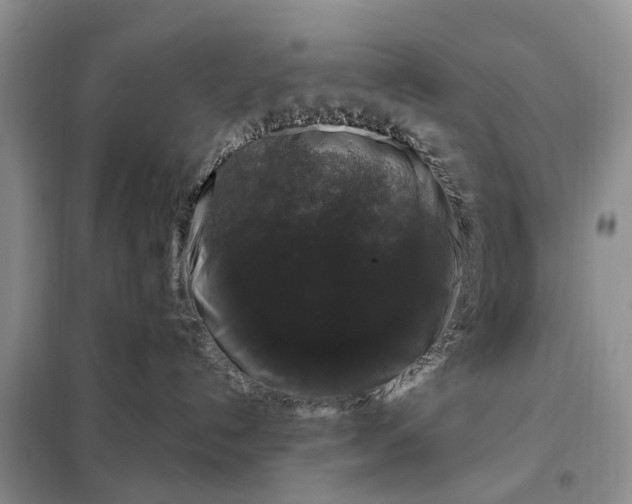 X0000097990192200804071202