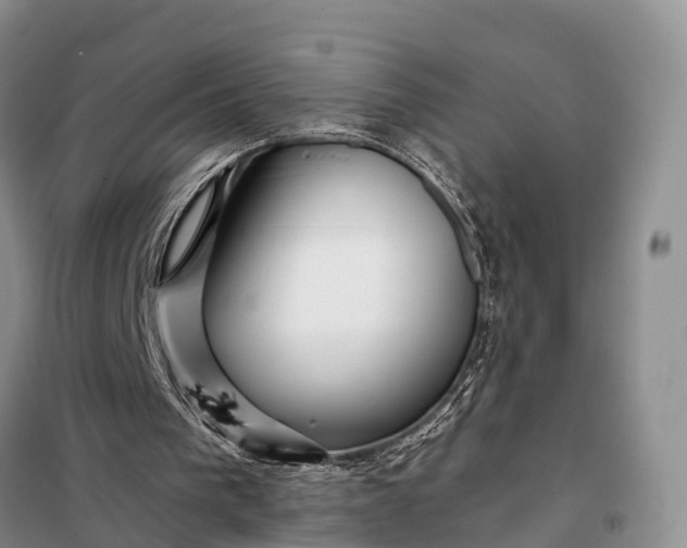 X0000097990193200804071201