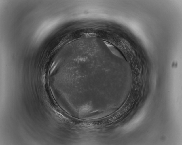X0000097990194200804071201