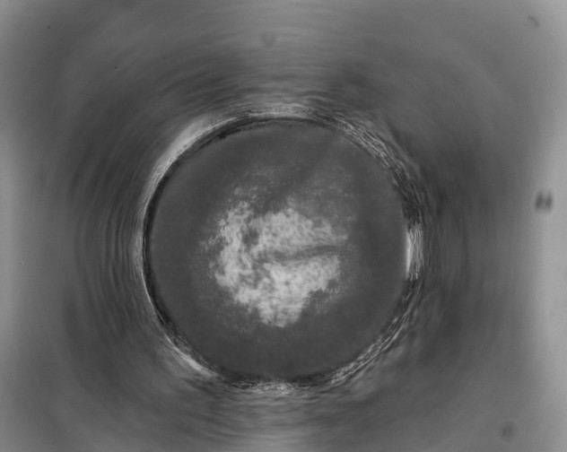 X0000097990195200804071201