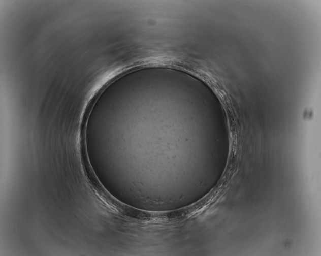 X0000097990196200804071201
