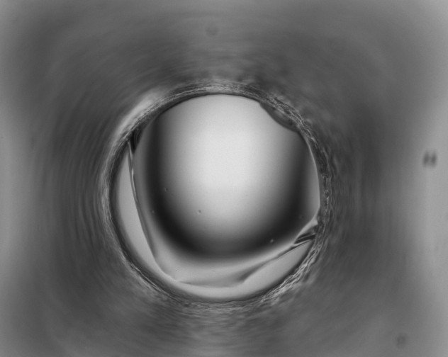 X0000097990197200804071201