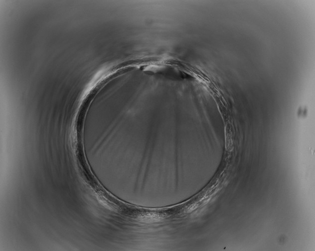 X0000097990198200804071201