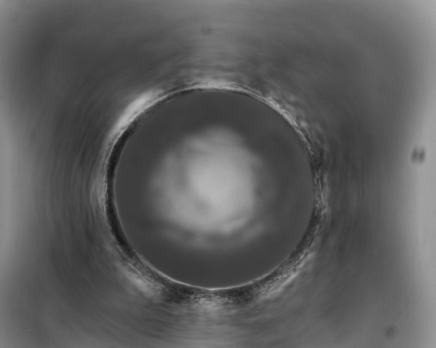 X0000097990199200804071201