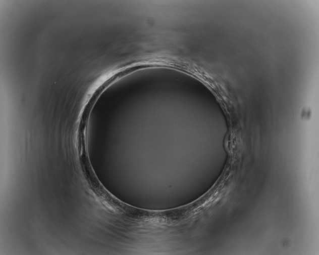 X0000097990200200804071201