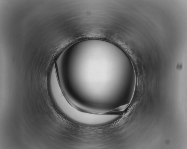 X0000097990201200804071201