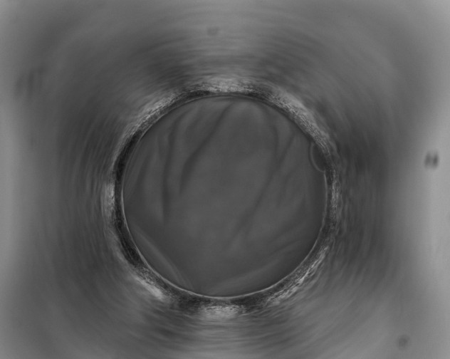 X0000097990202200804071201