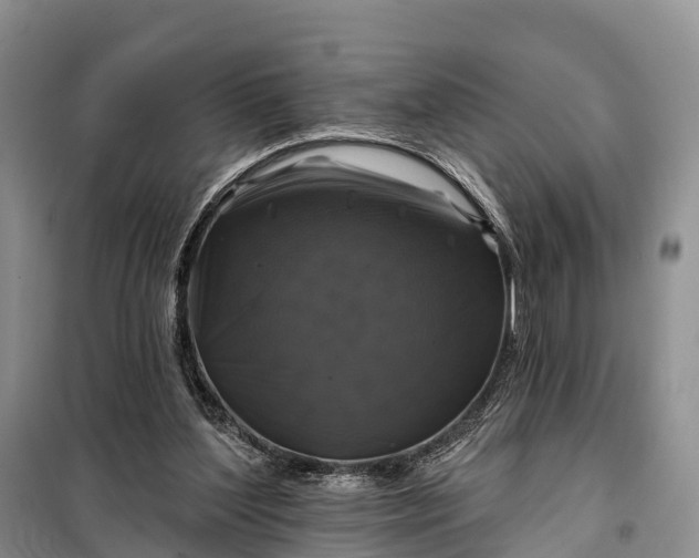 X0000097990204200804071201
