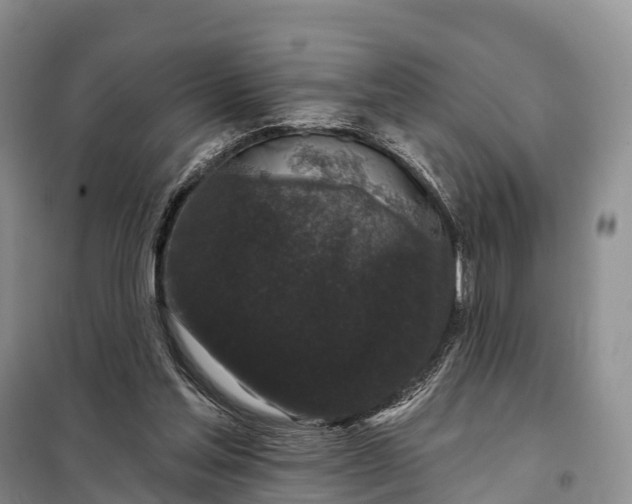 X0000097990205200804071201