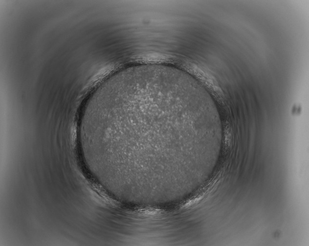 X0000097990206200804071201