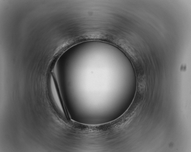 X0000097990207200804071201