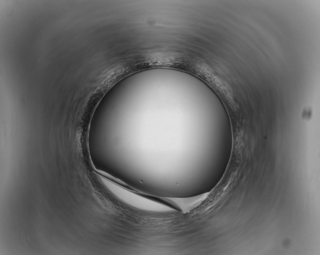 X0000097990209200804071201
