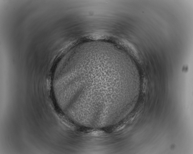 X0000097990210200804071201