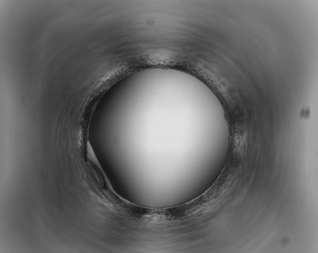 X0000097990211200804071201