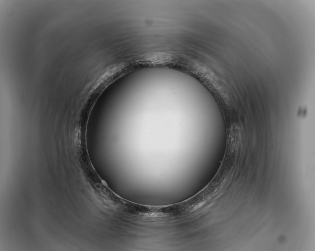 X0000097990212200804071201