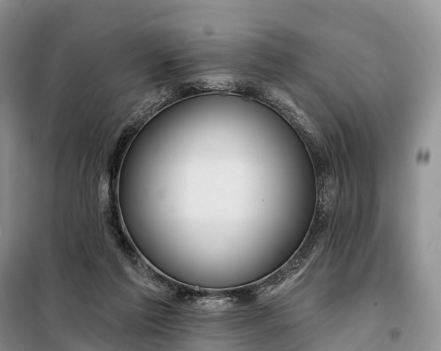 X0000097990213200804071201