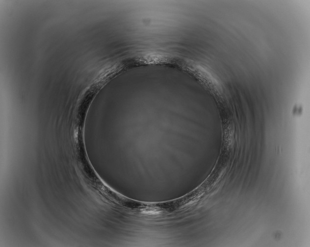 X0000097990214200804071201