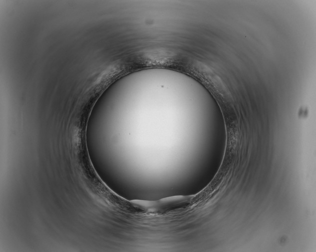 X0000097990215200804071201