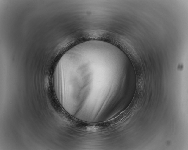 X0000097990216200804071201