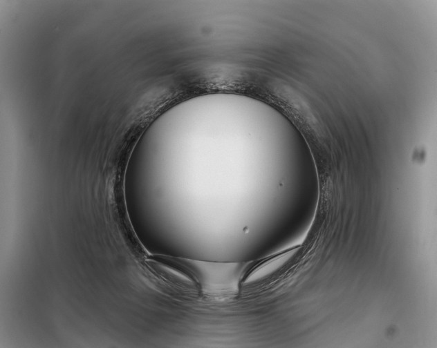 X0000097990217200804071201