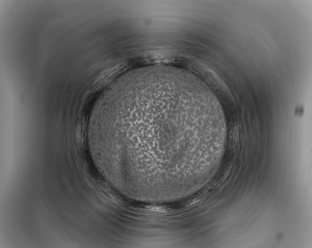 X0000097990218200804071201