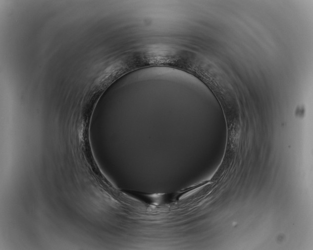 X0000097990219200804071200