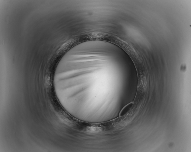 X0000097990220200804071200