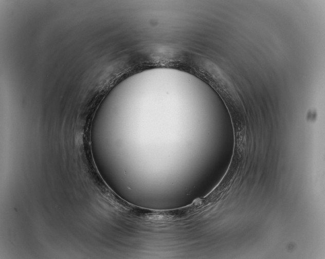 X0000097990221200804071200