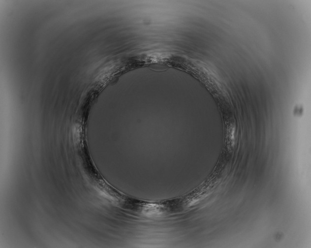 X0000097990222200804071200