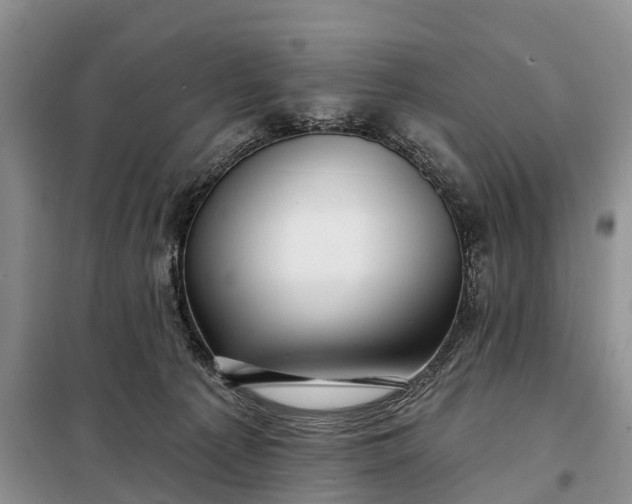 X0000097990225200804071200