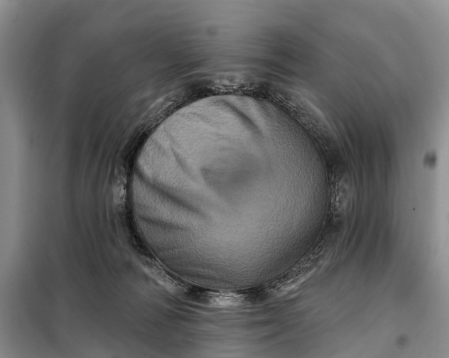 X0000097990226200804071200