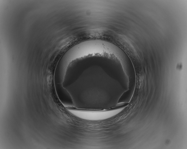 X0000097990228200804071200