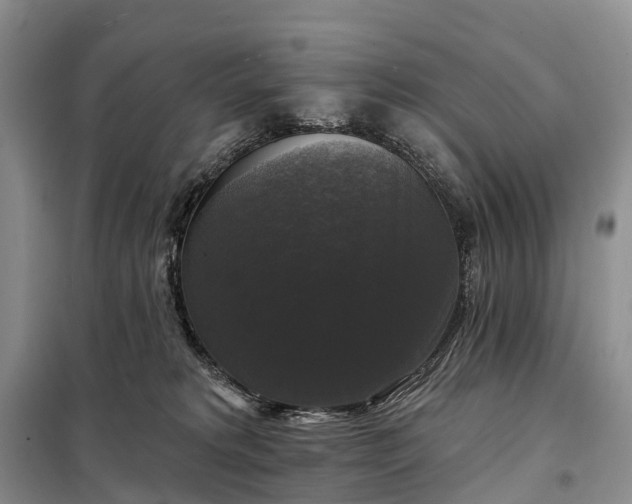 X0000097990229200804071200