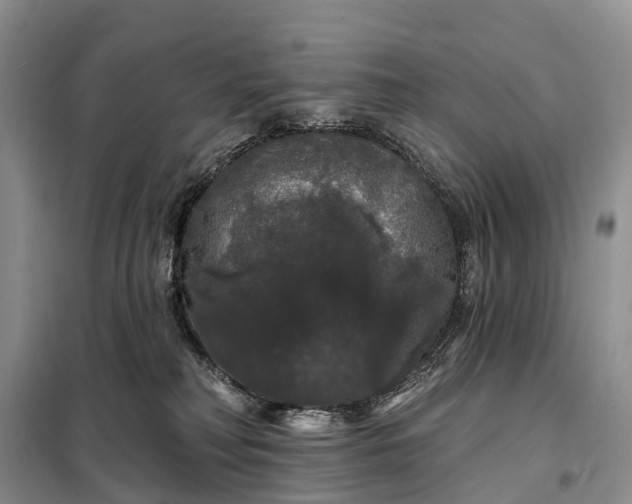 X0000097990230200804071200