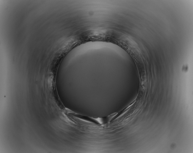 X0000097990231200804071200